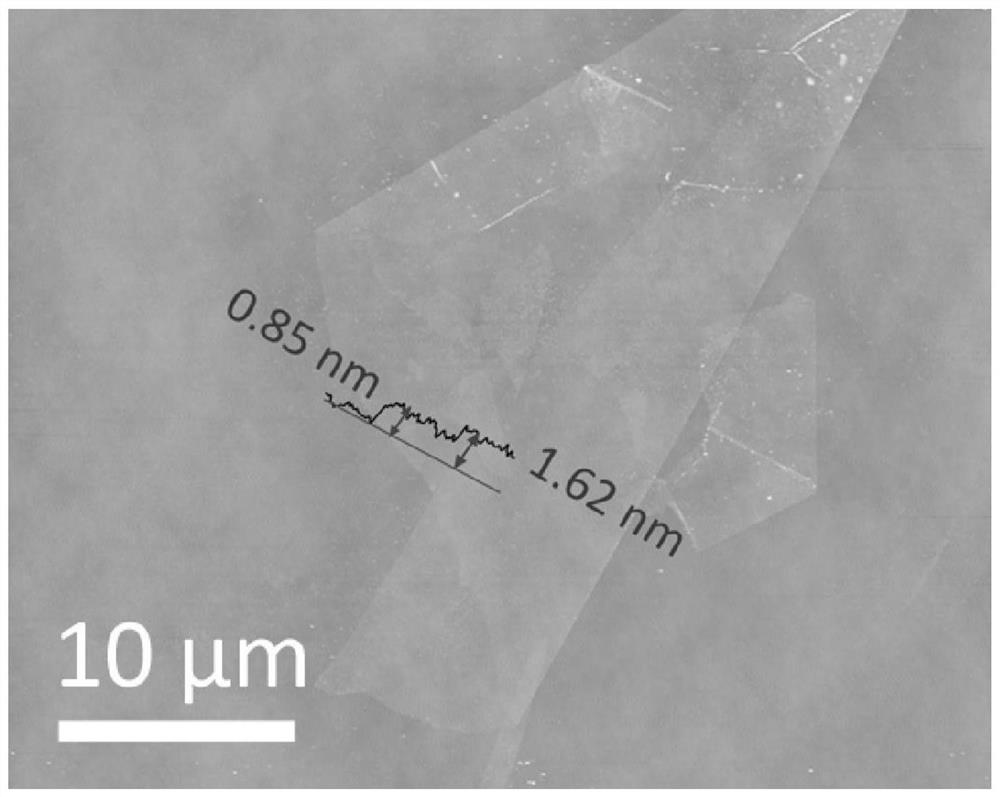 Metal ditelluride nanosheet and preparation method thereof