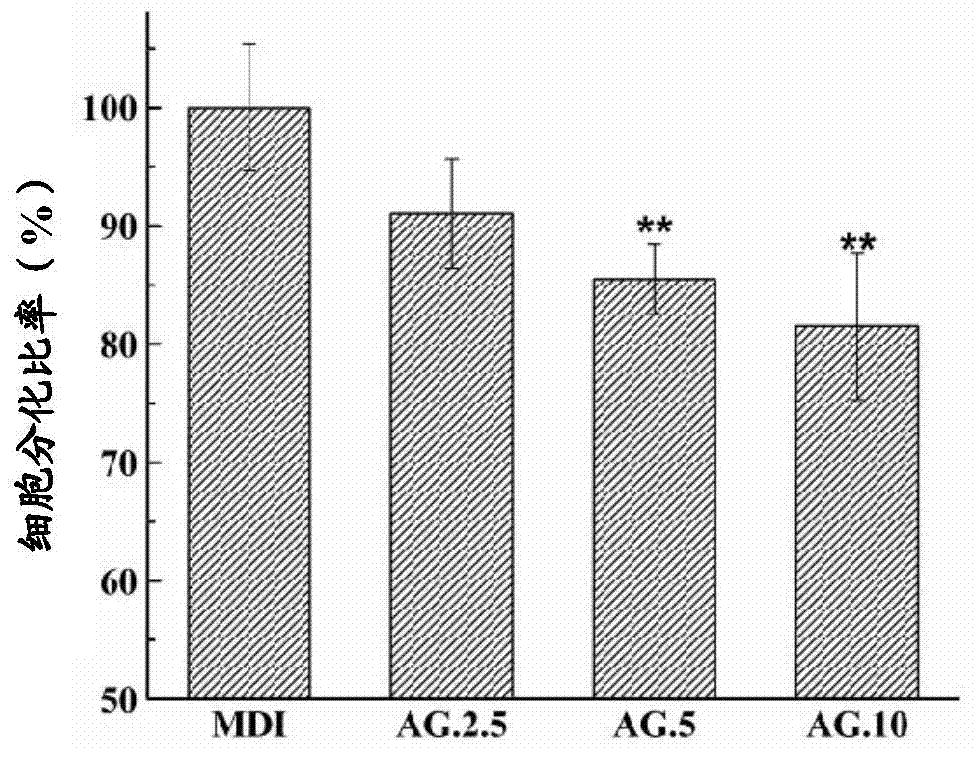 Application of andrographolide C to preparation of weight-losing food or medicine