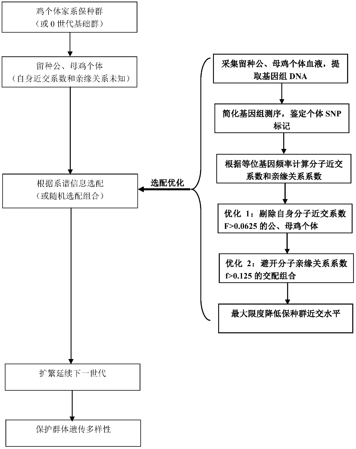 A method for individual selection and optimization of chicken conservation population