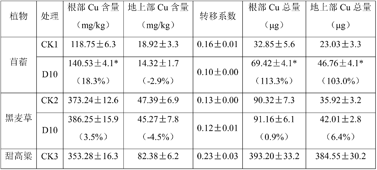 Bacterium D10 for improving validity of heavy metal and application of bacterium D10