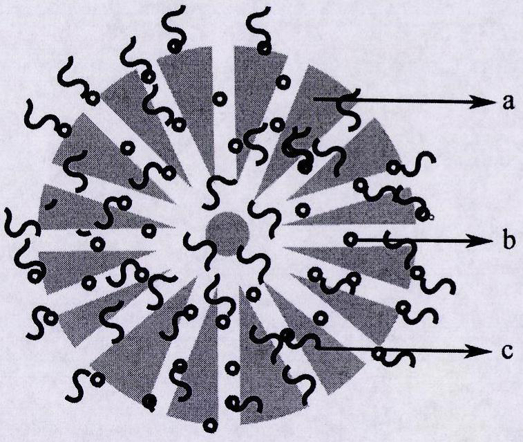 A kind of drug-loaded silicon dioxide nanoparticles and its preparation method and application