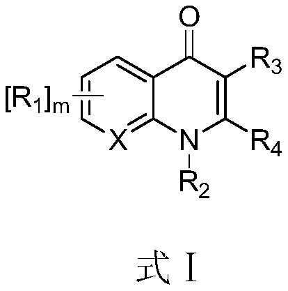 Application of Compounds in Anti-Dengue and Zika Virus Infection