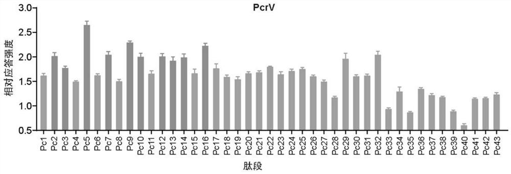 Multi-epitope fusion protein for preventing pseudomonas aeruginosa infection and encoding gene, expression vector and application thereof