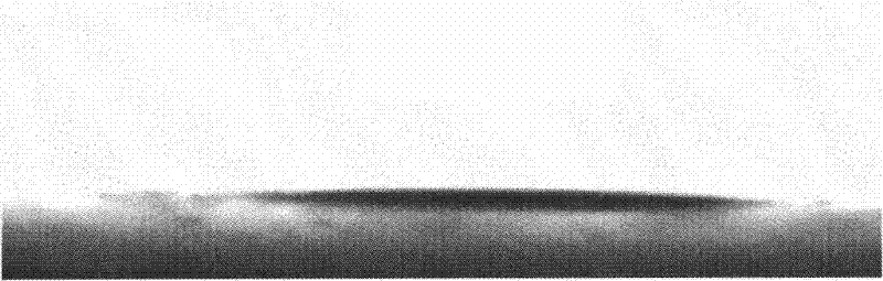 Preparation method for metallic aluminum super-hydrophobic surface