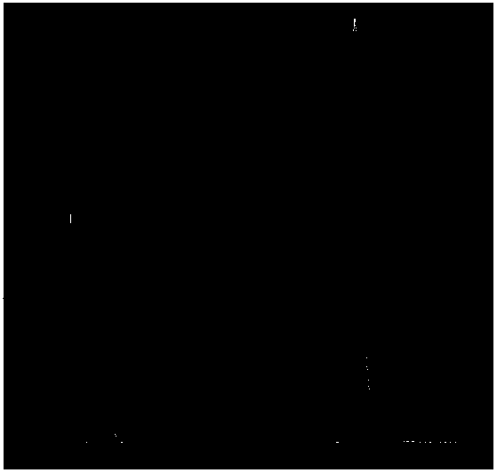 Synthesis method of 1-benzylpyridinium-3-carboxylate