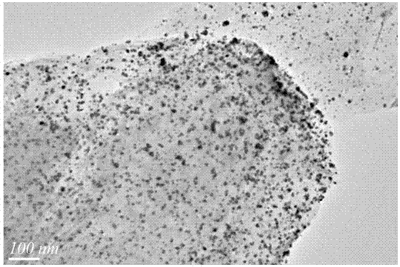 Au-Pd bimetallic catalyst for preparing methyl formate by selective oxidation of methanol as well as preparation method and application thereof