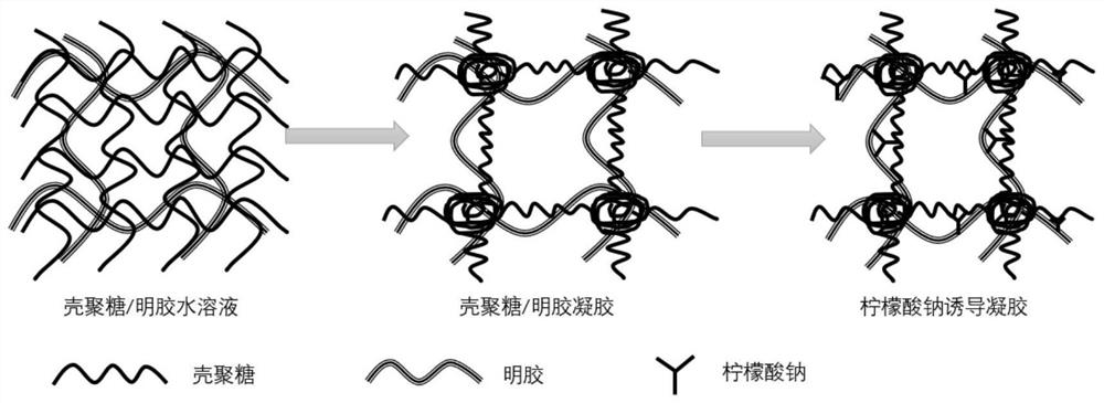 A kind of environment-responsive Paecilomyces lilacinus microbeads and preparation method thereof