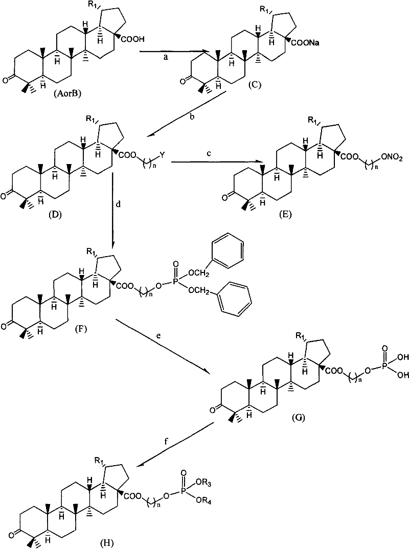 Betulinic acid analogue and preparation method and application thereof