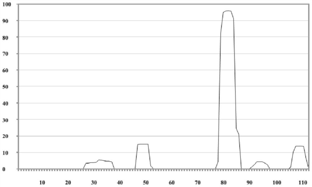 Human monoclonal antibody against protein tag streptactin