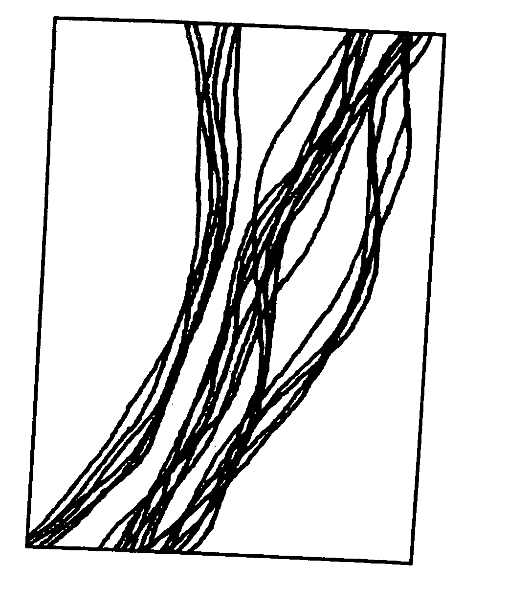 Supported biofilm apparatus and process