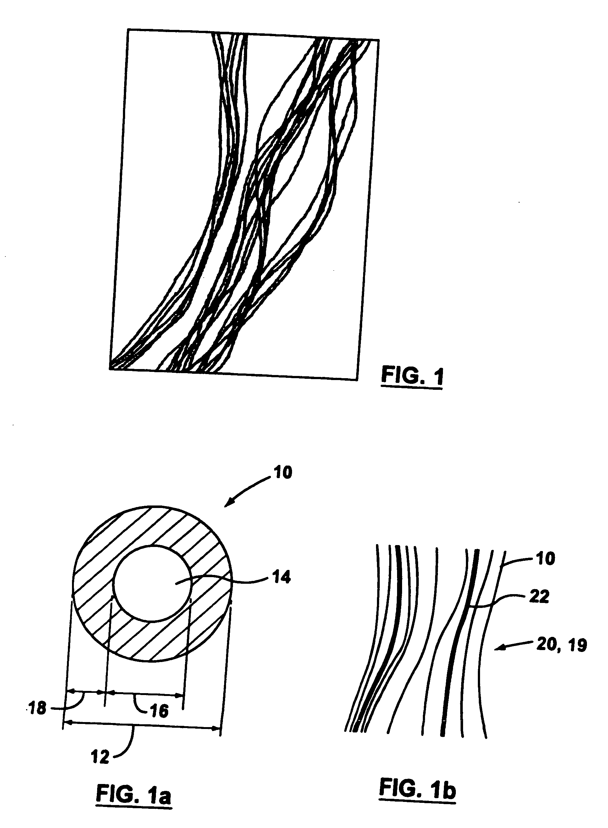 Supported biofilm apparatus and process