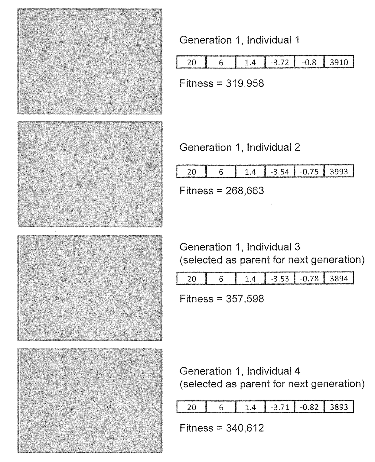 Biologically inspired algorithm based method for near real-time tracking of moving objects in three dimensional environment