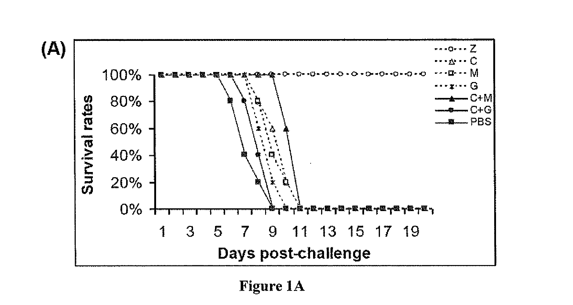 Combination therapy for the treatment of influenza