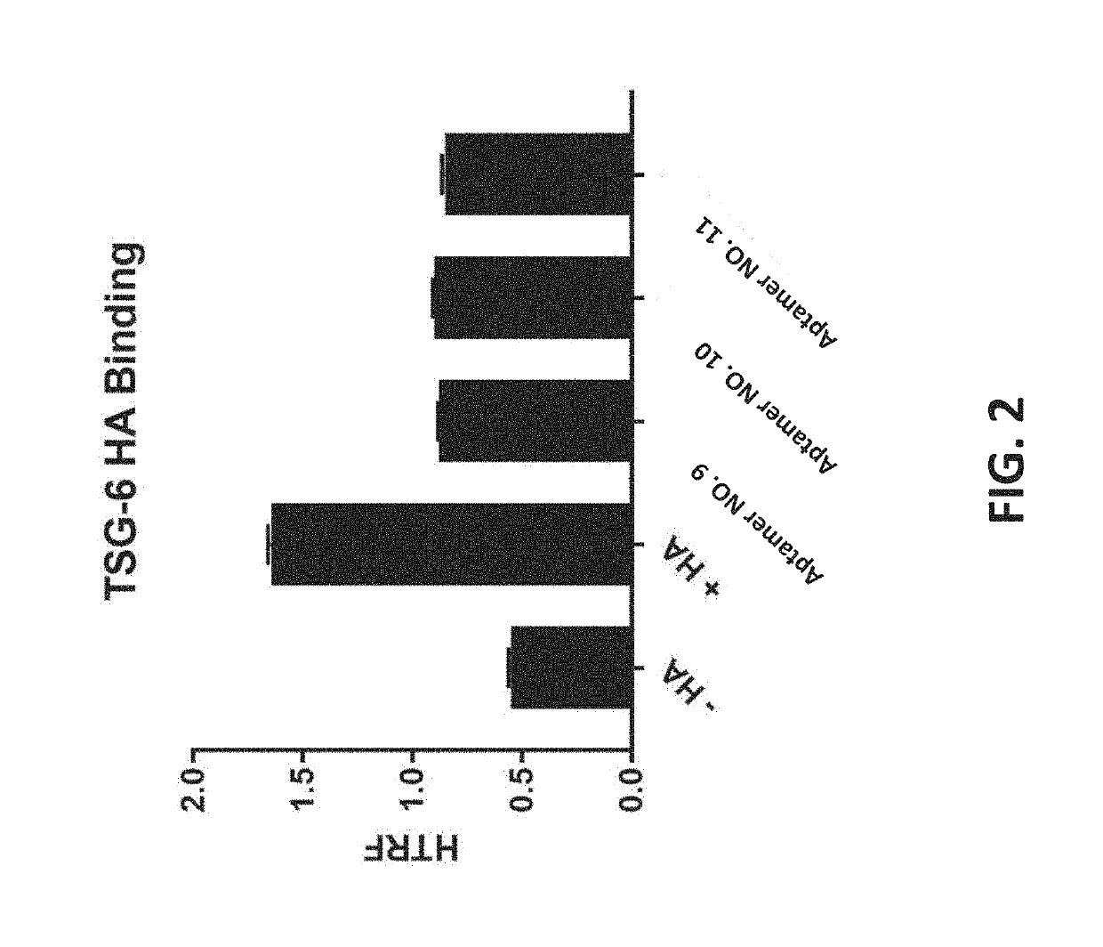 Compositions with improved intravitreal half-life and uses thereof