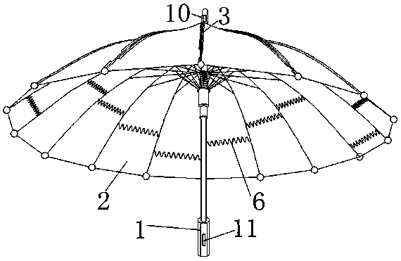 Novel umbrella