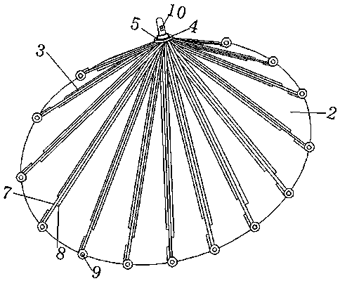 Novel umbrella