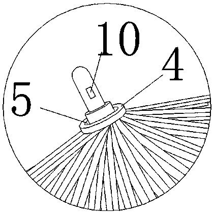 Novel umbrella