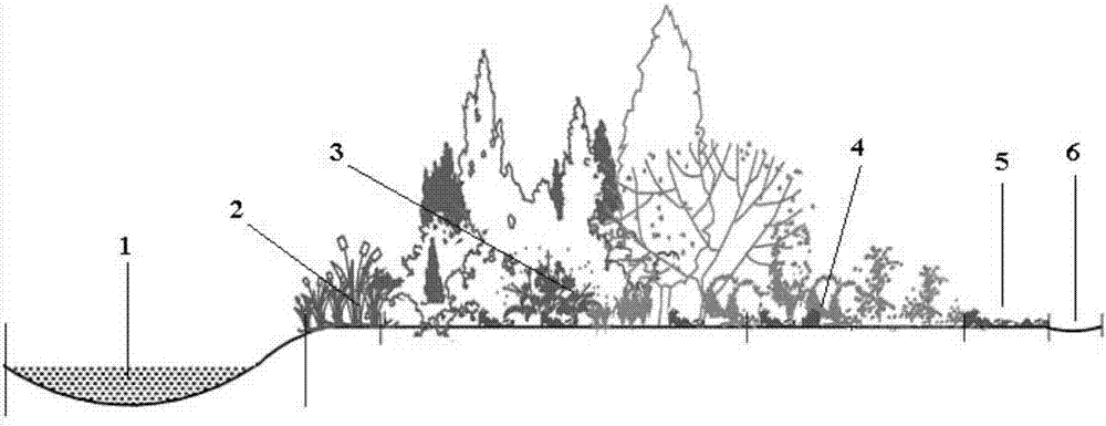 A kind of river bank ecological buffer zone and its construction method