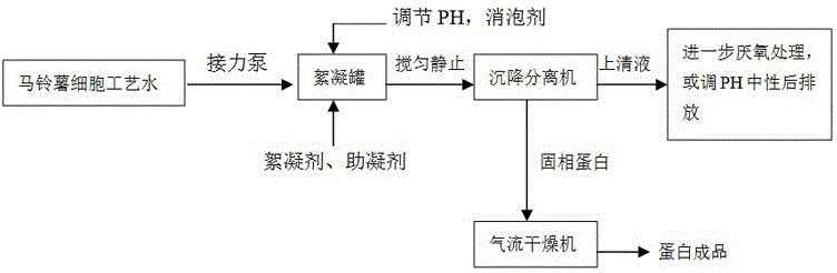 Potato cell water protein extraction process