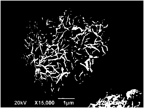 Core-shell structure nickel-cobalt-manganese ternary positive electrode material precursor and preparation method thereof