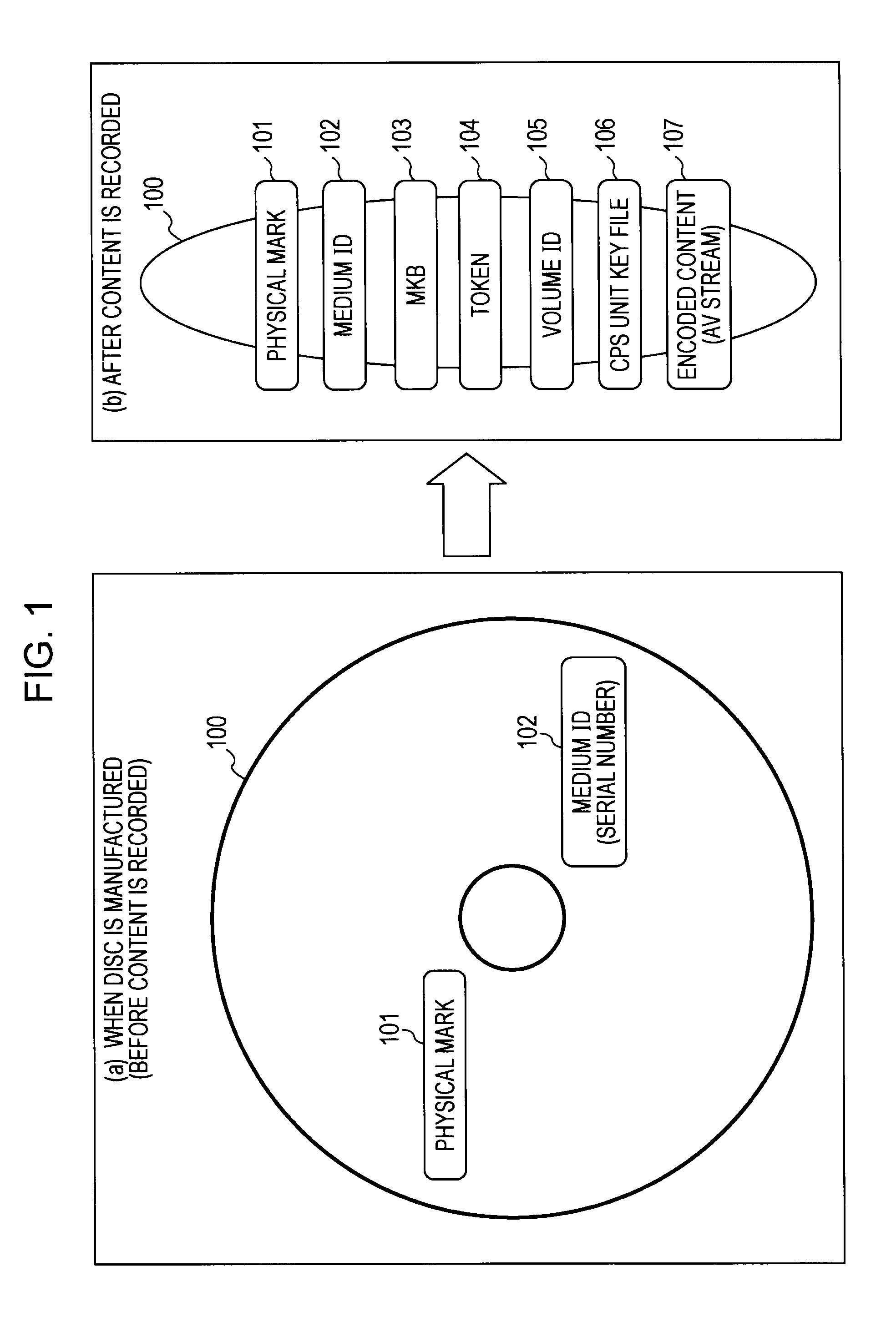 Information processing apparatus, information processing method, and program