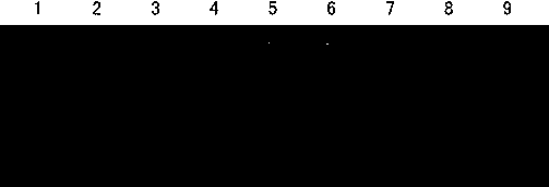 Liver cancer serum nucleic acid aptamers