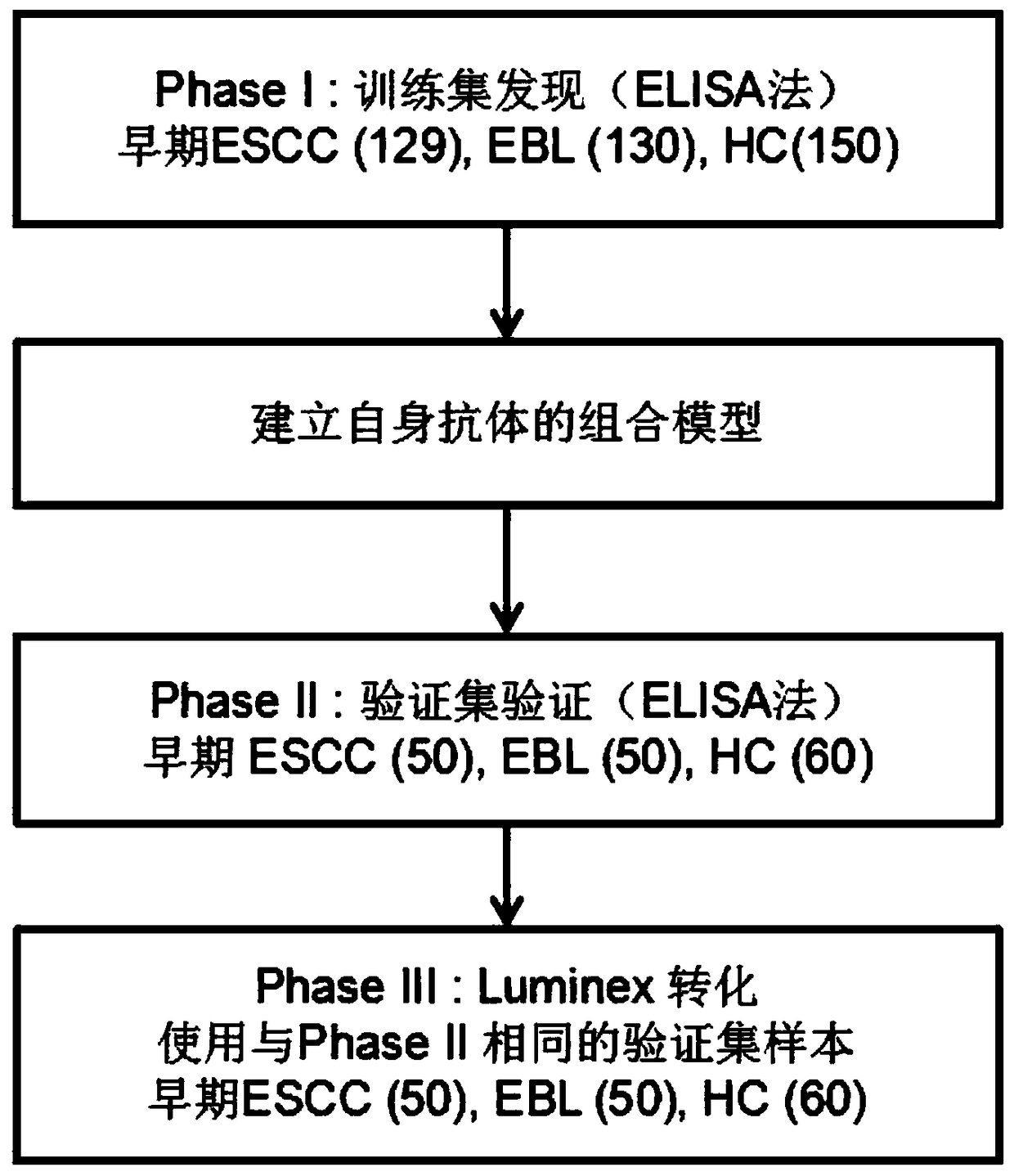 Four-autoantibody combined detection kit for diagnosing early esophageal squamous cancer and application thereof