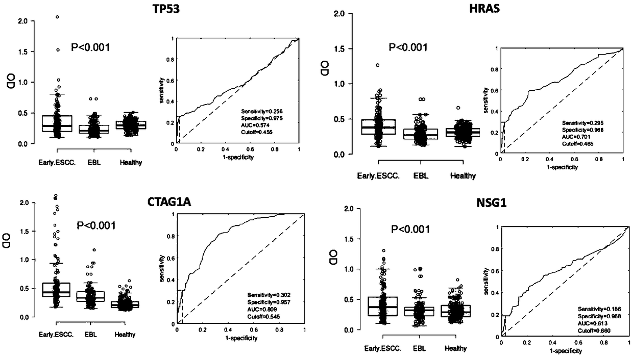 Four-autoantibody combined detection kit for diagnosing early esophageal squamous cancer and application thereof