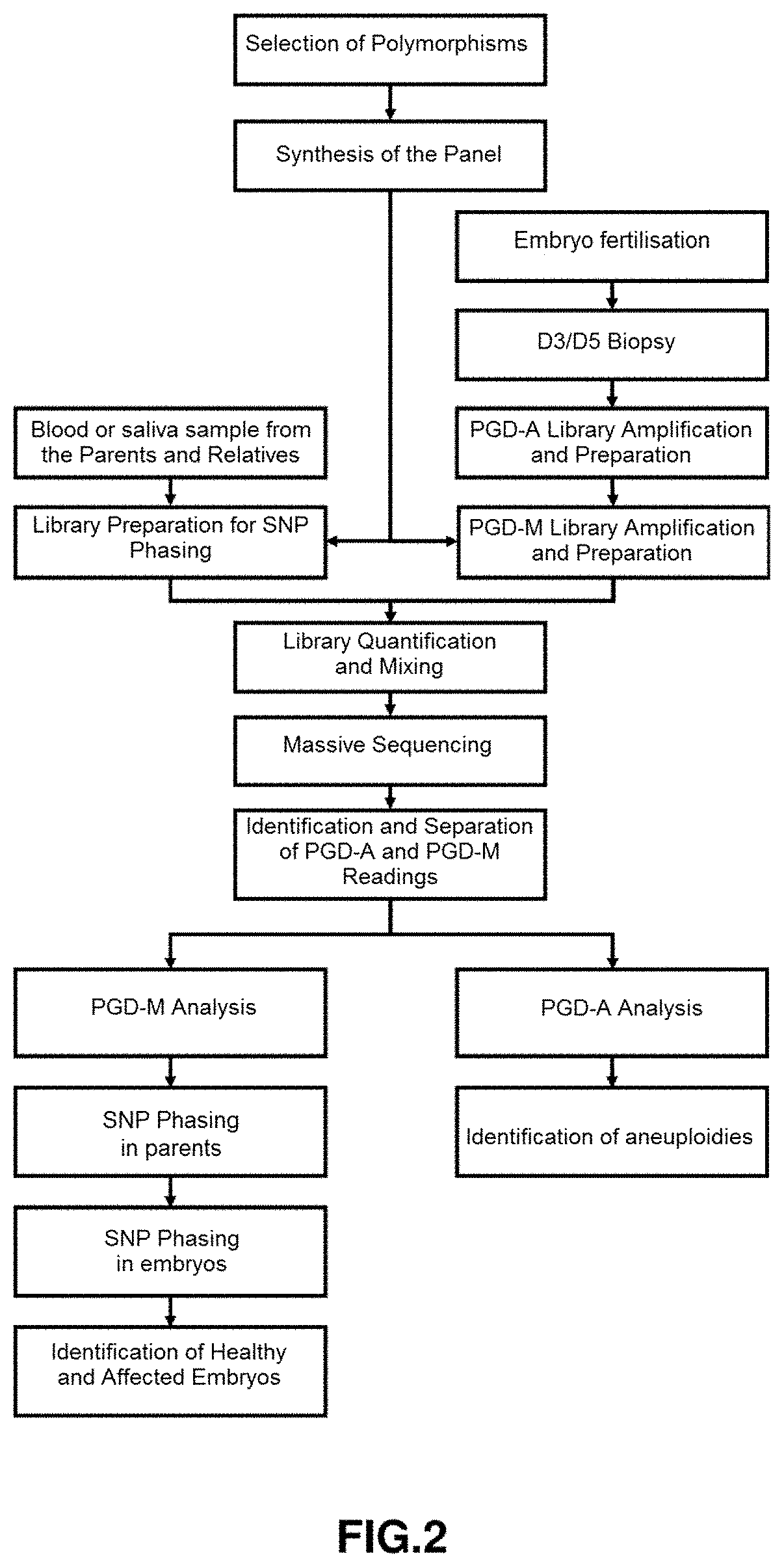 Method for the Study of Embryo Mutations in IN VITRO Reproduction Processes