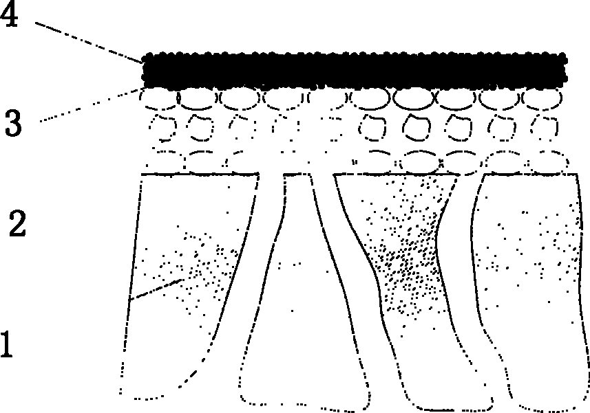 Method for preparing palladium-based composite membranes