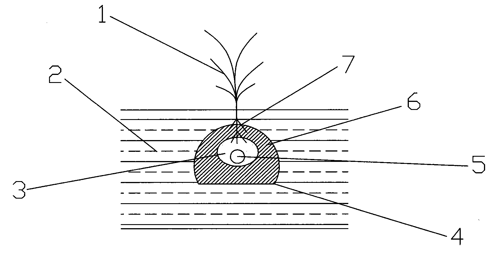 Water-saving near-root reverse-seepage irrigation method