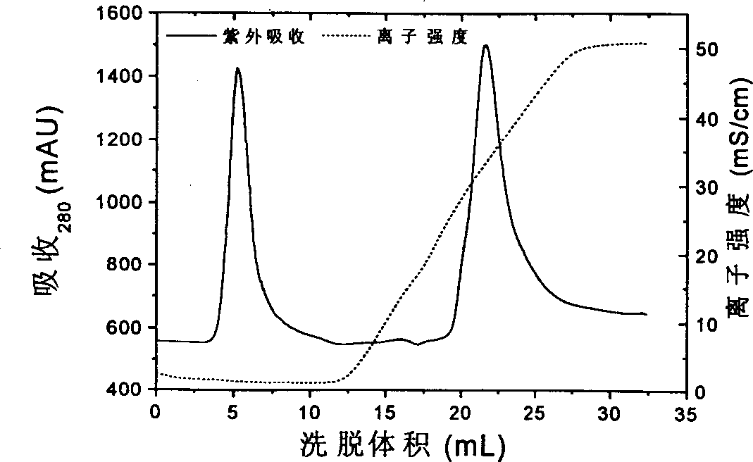 Method of inclusion body protein renaturation and purification at the same time