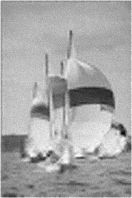 Pixel type based objective assessment method of image quality by utilizing structural similarity