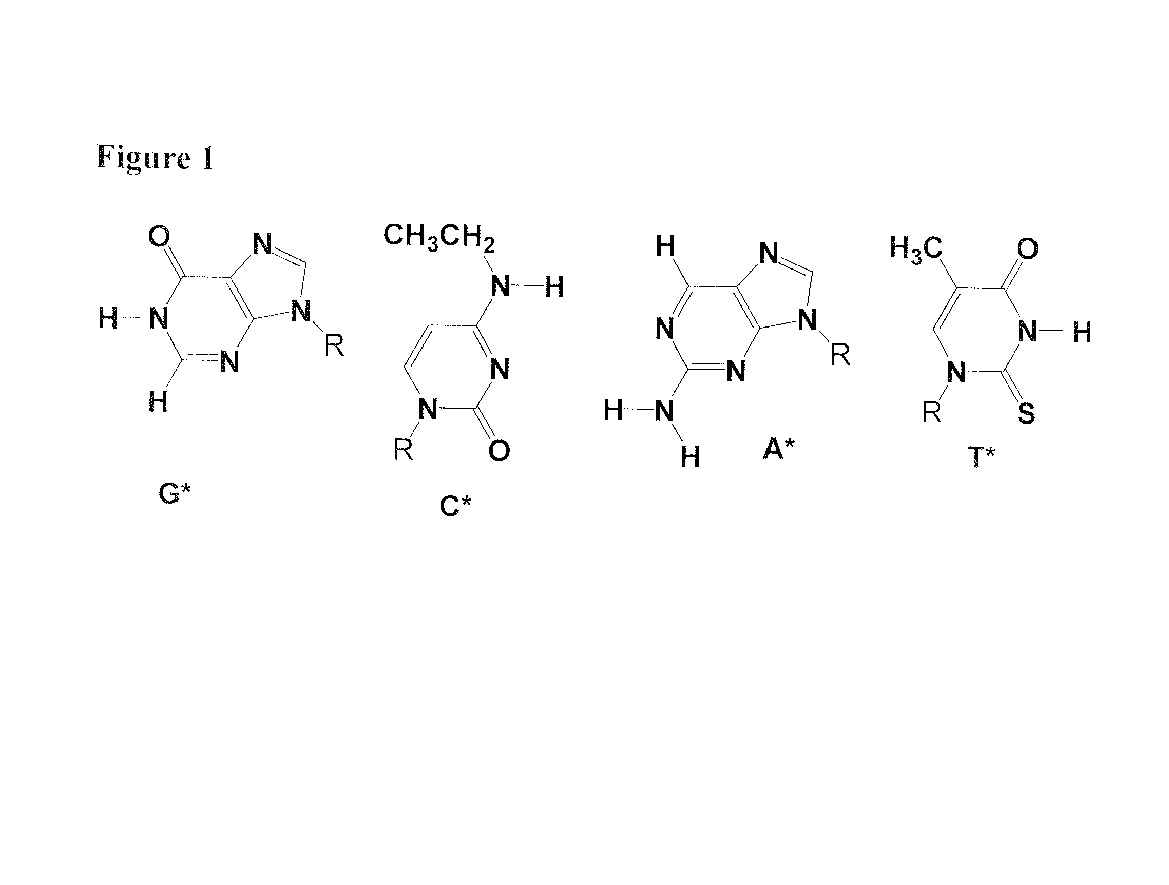 Recombinase-based amplification with substitute nucleotides