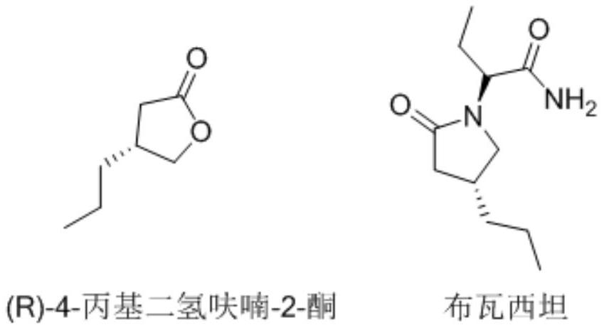 Synthesis method of (R)-4-propyldihydrofuran-2-ketone