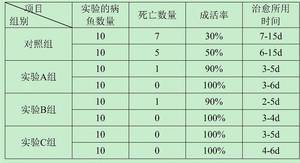 Immunopotentiator for preventing and treating tilapia branchiomycosis and preparation method thereof