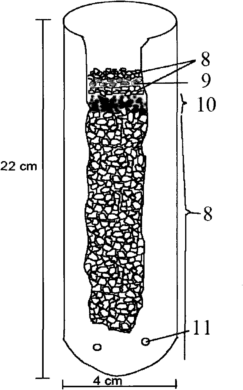 Method and device for culturing inoculant of arbuscular mycorrhizal fungi