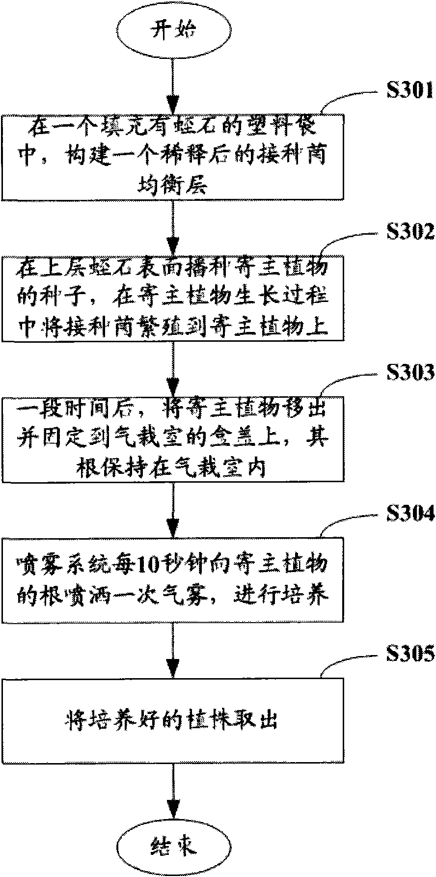 Method and device for culturing inoculant of arbuscular mycorrhizal fungi