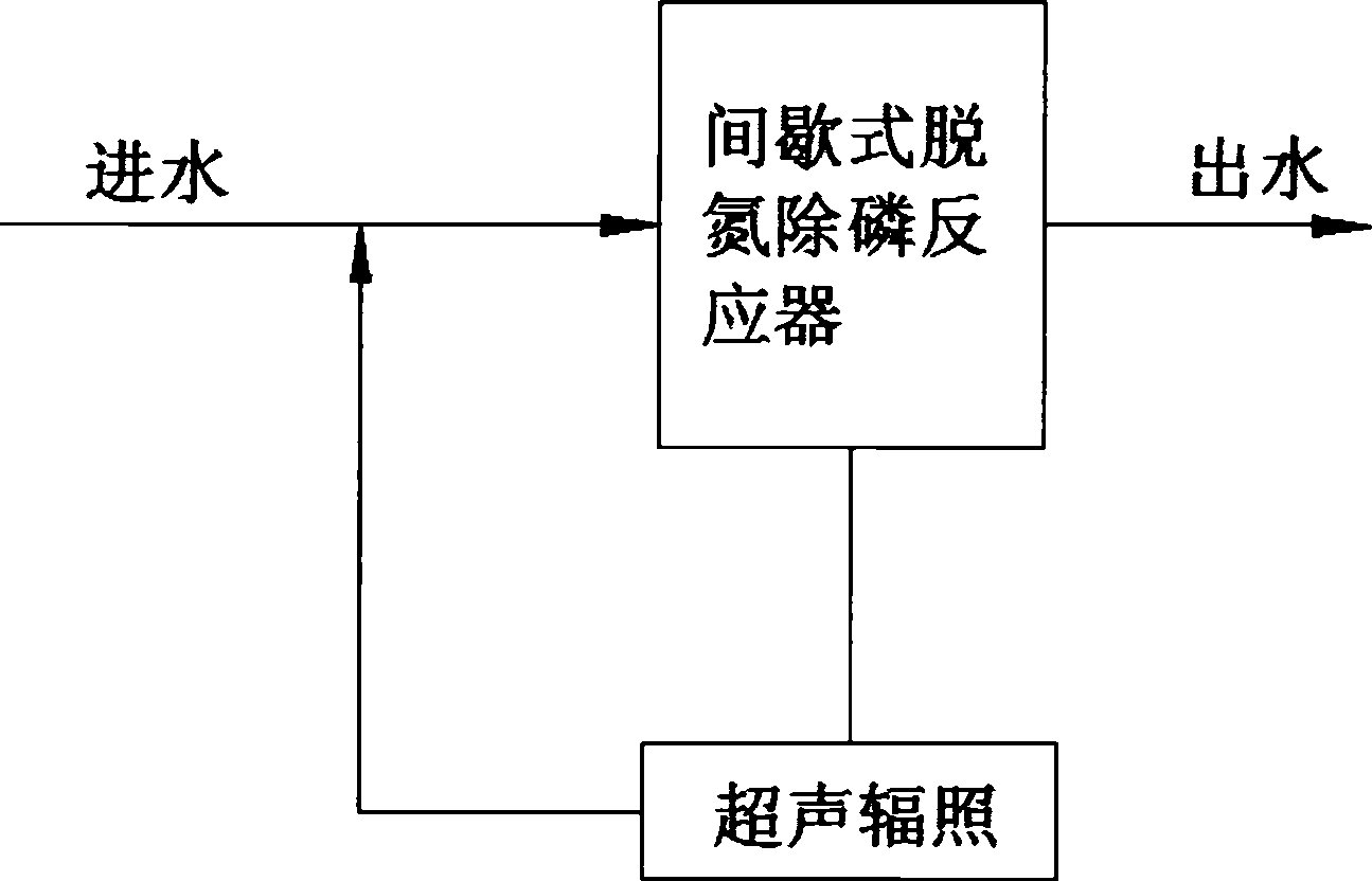 Method for improving biological denitrification dephosphorization efficiency by using ultrasonic