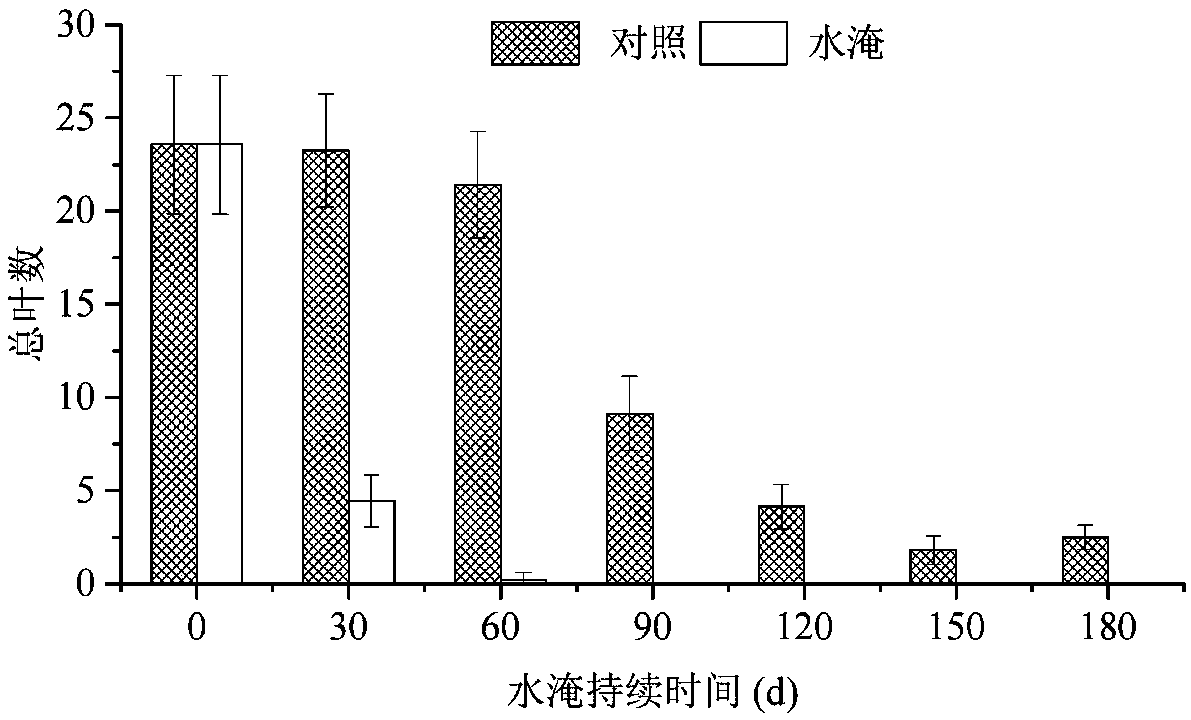 A method for repairing the plateau reservoir ebb and flow zone using paspalum