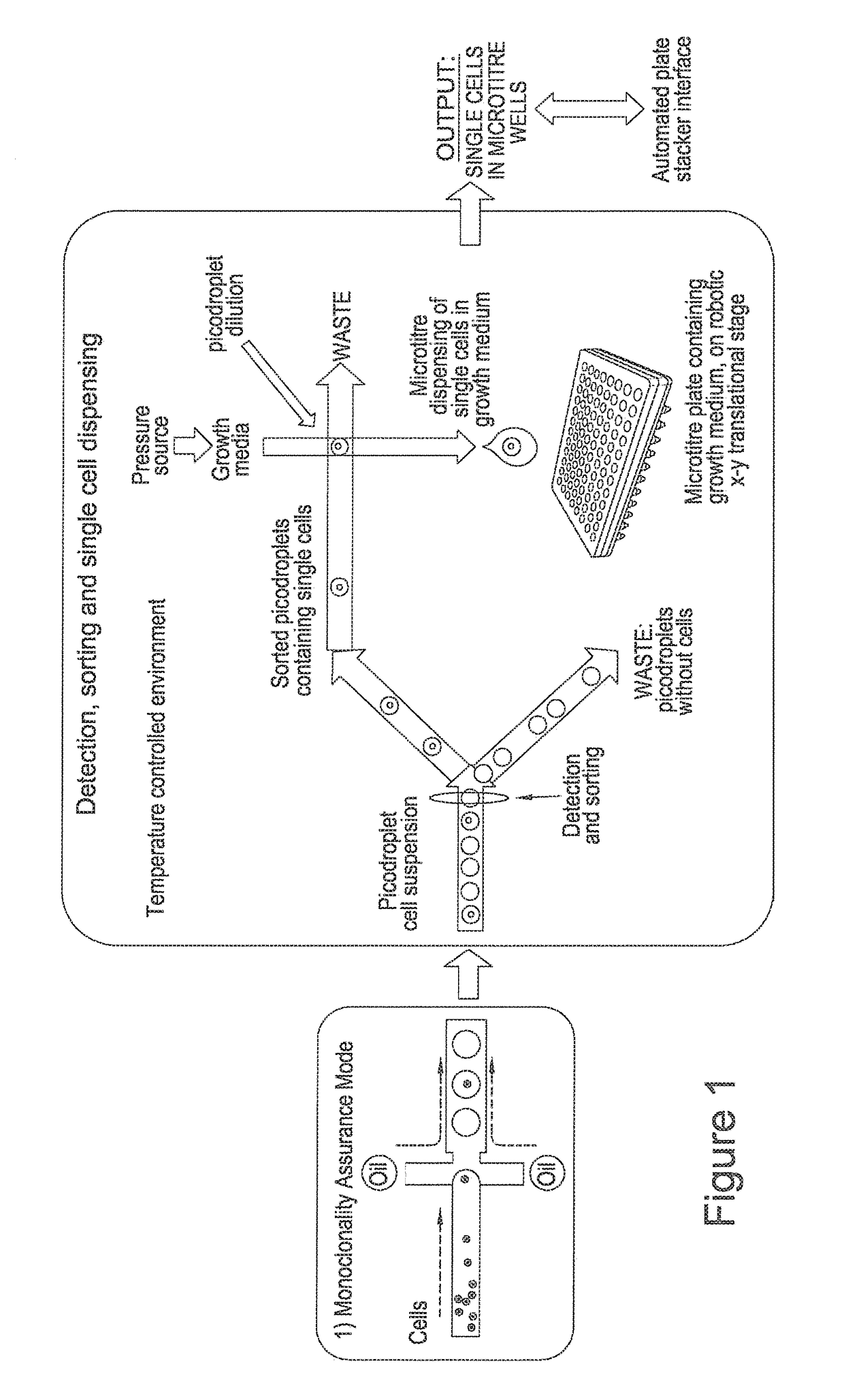 Systems and methods