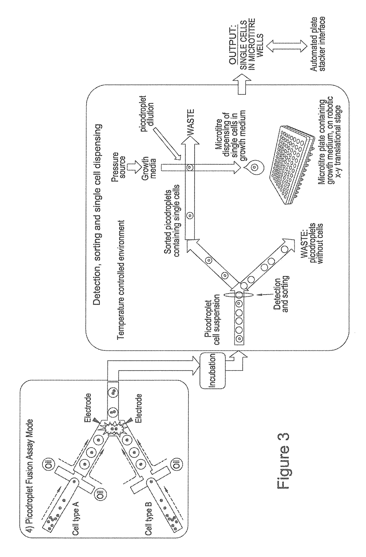 Systems and methods