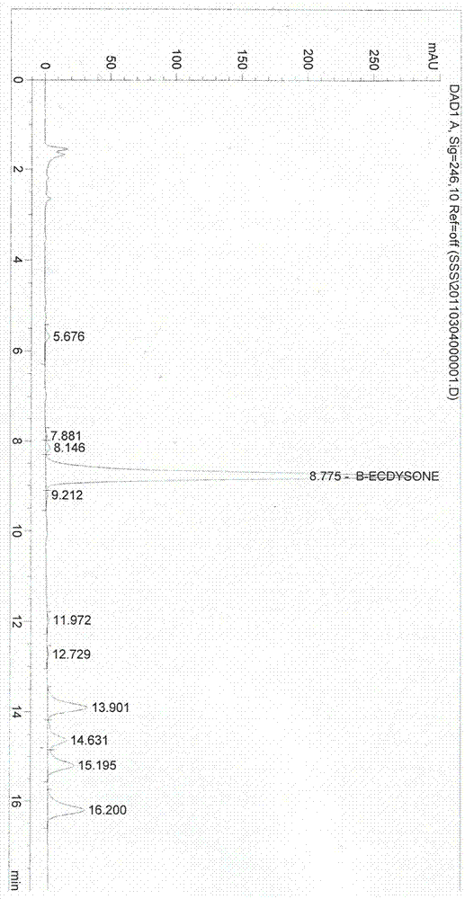 Cyanotis root extract rich in beta-ecdysone and preparation method thereof