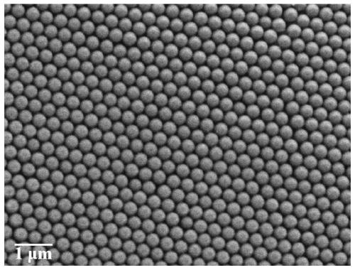 Structural chromogenic textile with asymmetric wetting characteristics as well as preparation method and application thereof