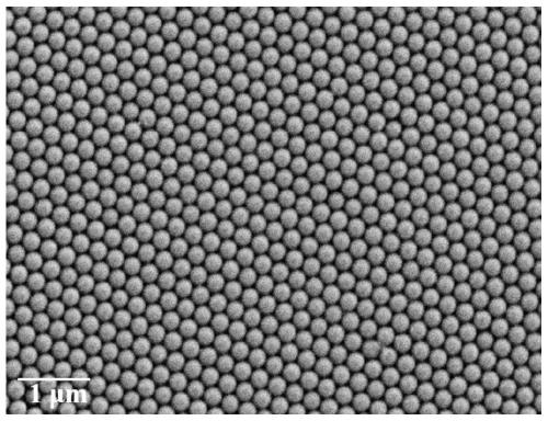 Structural chromogenic textile with asymmetric wetting characteristics as well as preparation method and application thereof