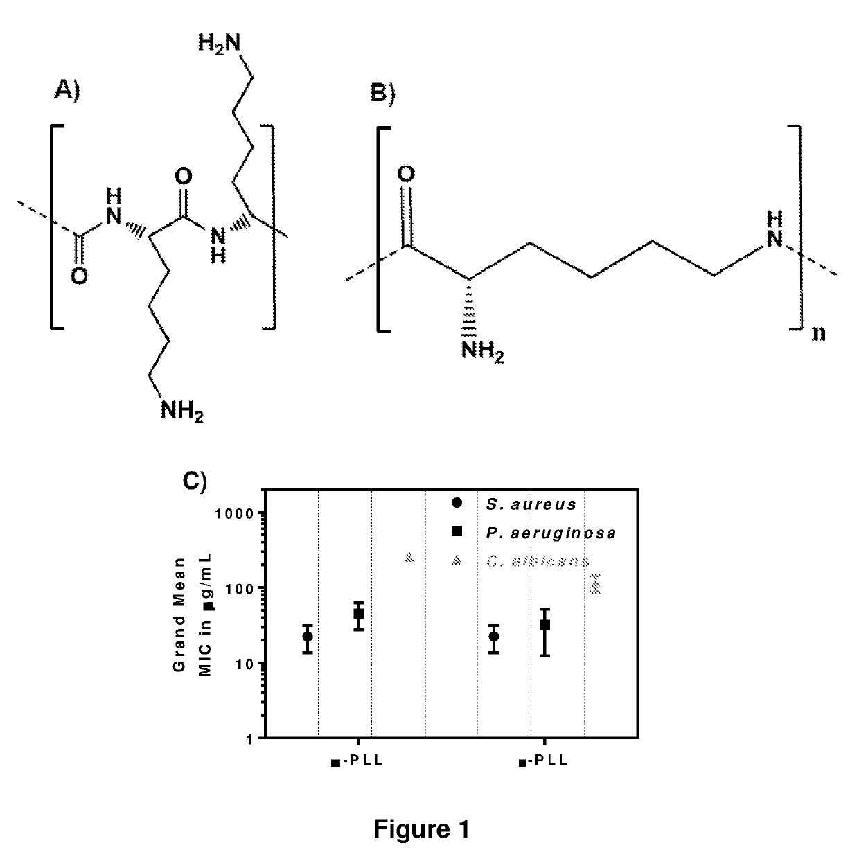 Antimicrobial peptides comprising epsilon lysine residues