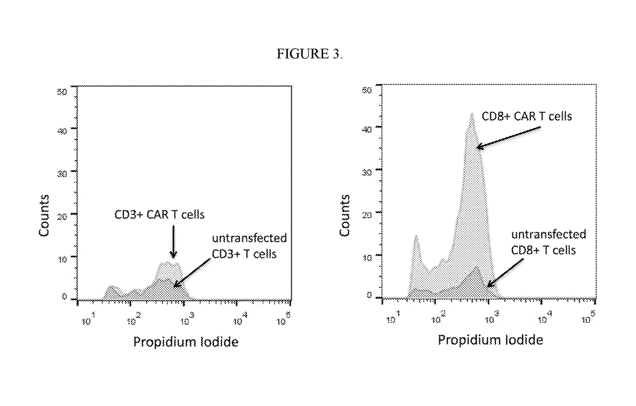 Cancer immunotherapy with highly enriched cd8+ chimeric antigen receptor t cells