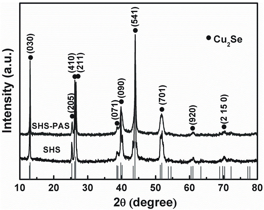 High-performance Cu2Se block thermoelectric material with nanopore structure and rapid preparation method of high-performance Cu2Se block thermoelectric material