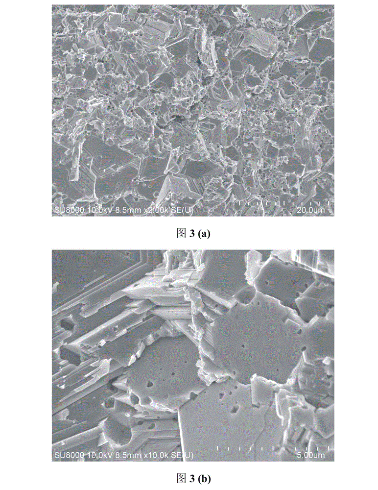 High-performance Cu2Se block thermoelectric material with nanopore structure and rapid preparation method of high-performance Cu2Se block thermoelectric material