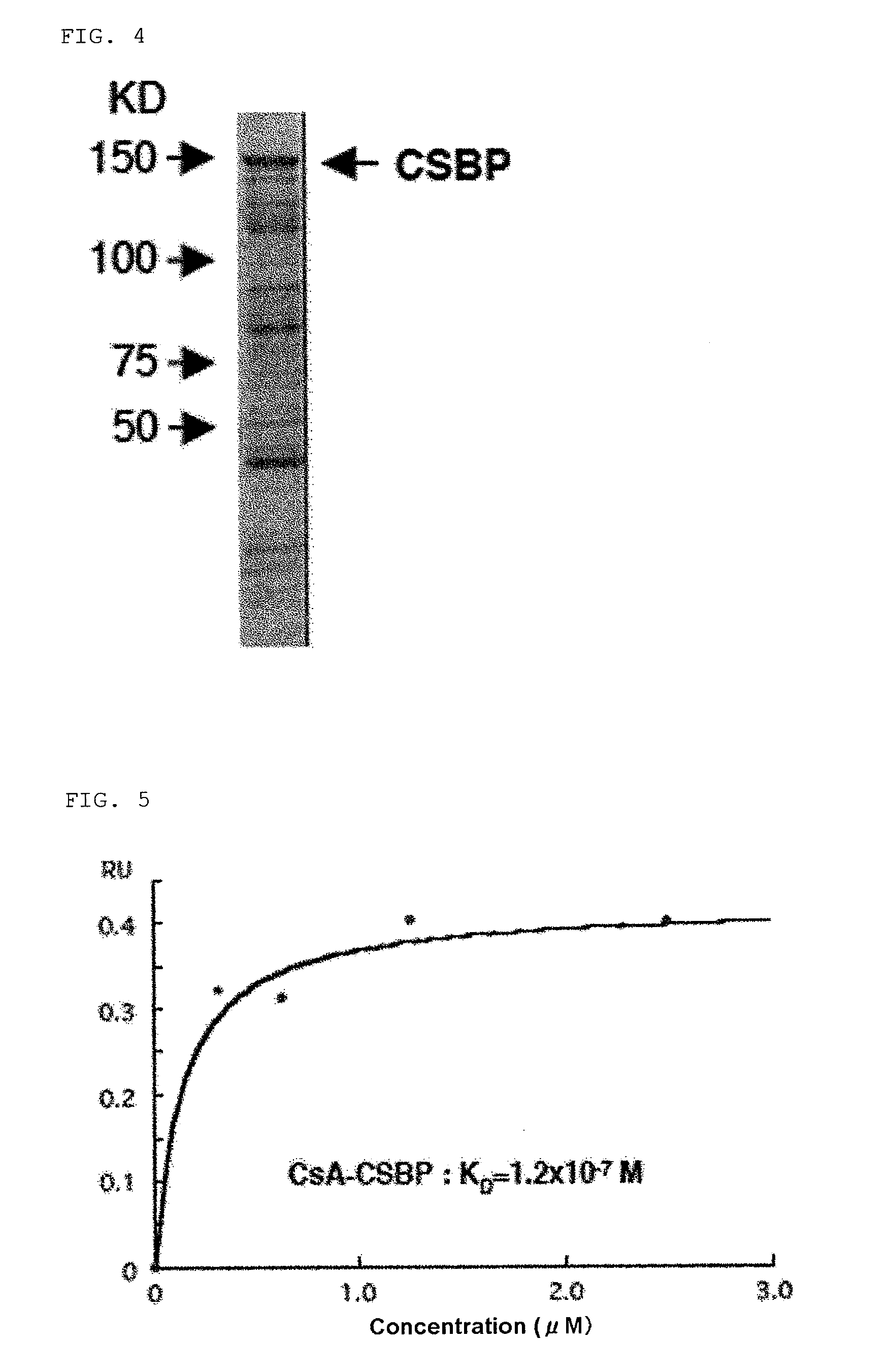 Cyclosporin a-binding protein